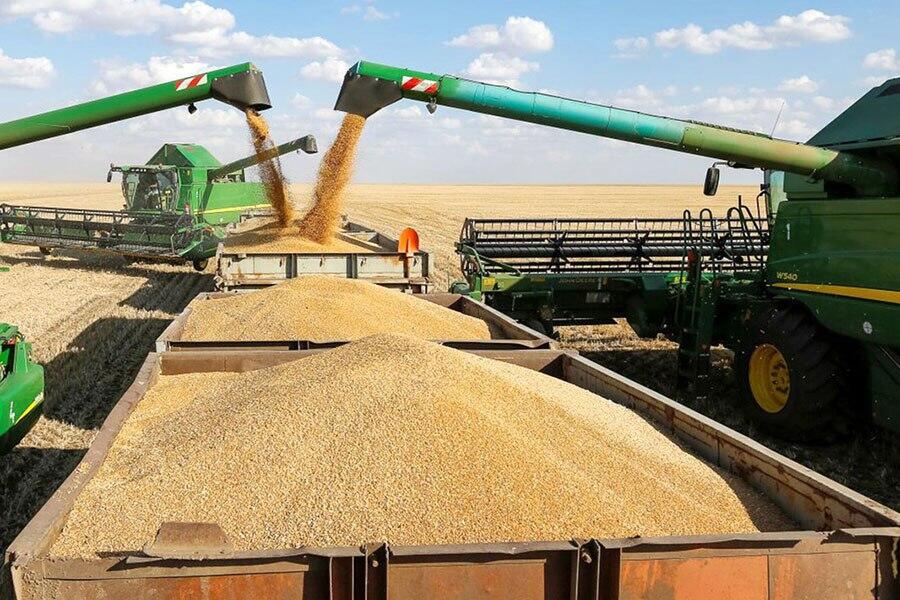 Рост урожайности зерновых Кыргызстана